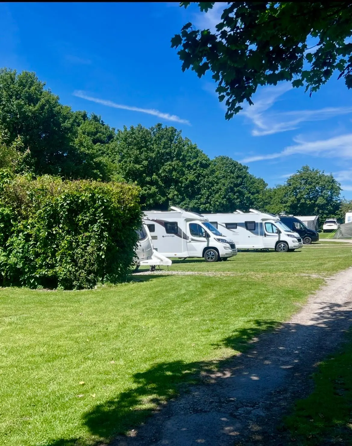 Motorhomes pitched at The Waterloo Inn campsite on a sunny day